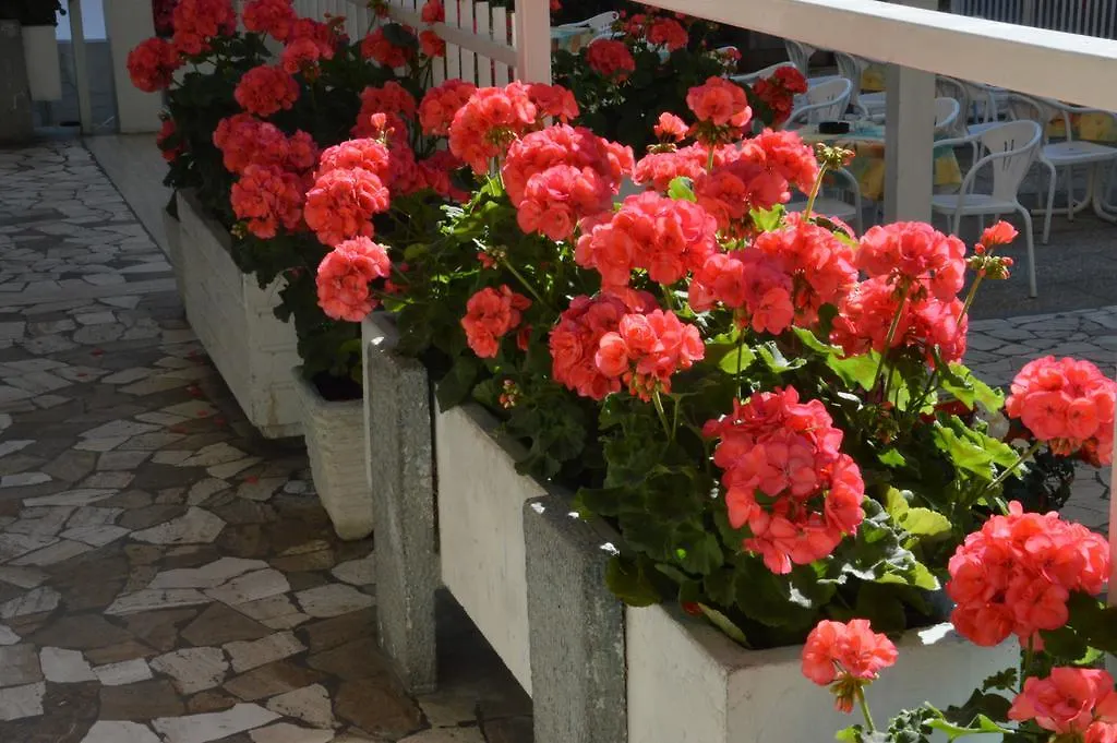 Mantovani Hotel Mariu Rimini
