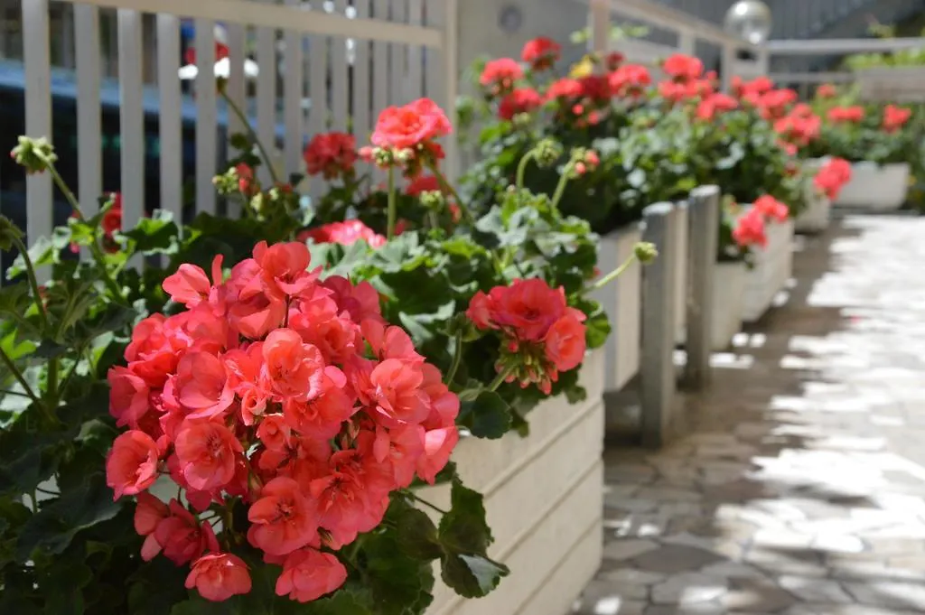 Mantovani Hotel Mariu Rimini
